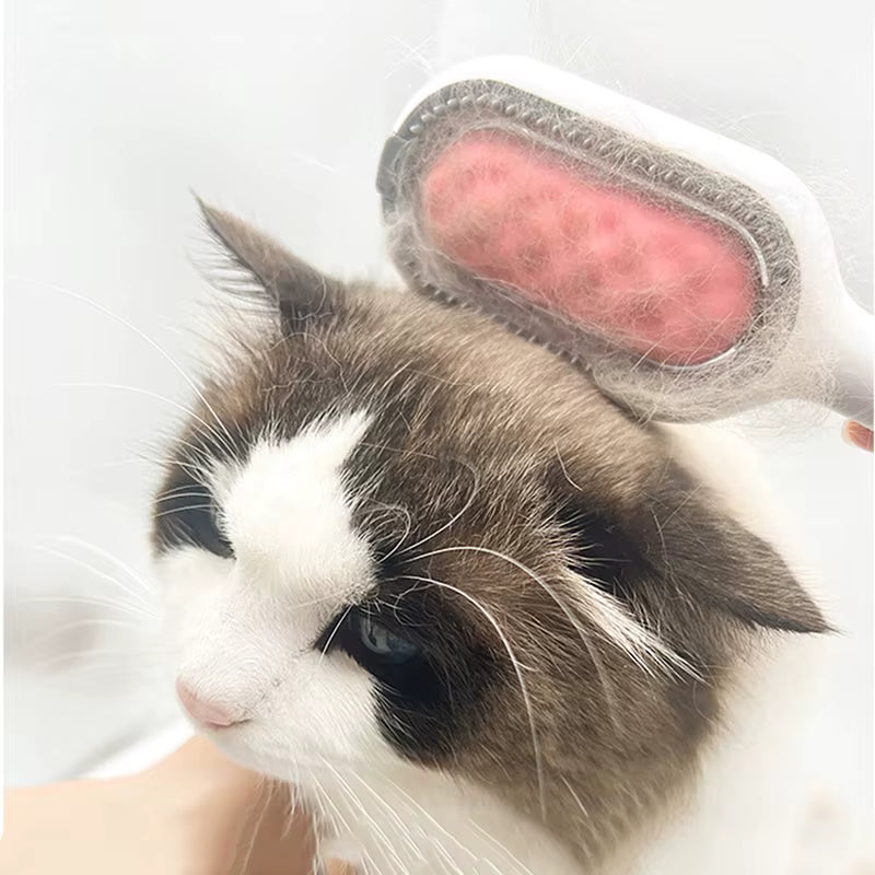 Cepillo 3 en 1 con Niebla – Aseo Completo Mascotas
